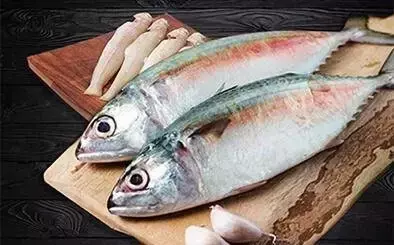 Fish Seafood - Topchop